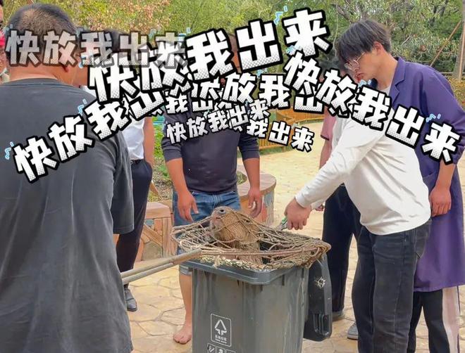“越狱”卡皮巴拉“豆包”位置已初步锁定j9九游真人游戏第一品牌悬赏奖励升级！(图2)